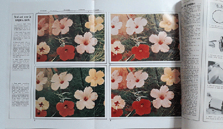 Patricia Caulfield’s pictures of hibiscus flowers on the cover and two spreads of Modern Photography, June 1964.