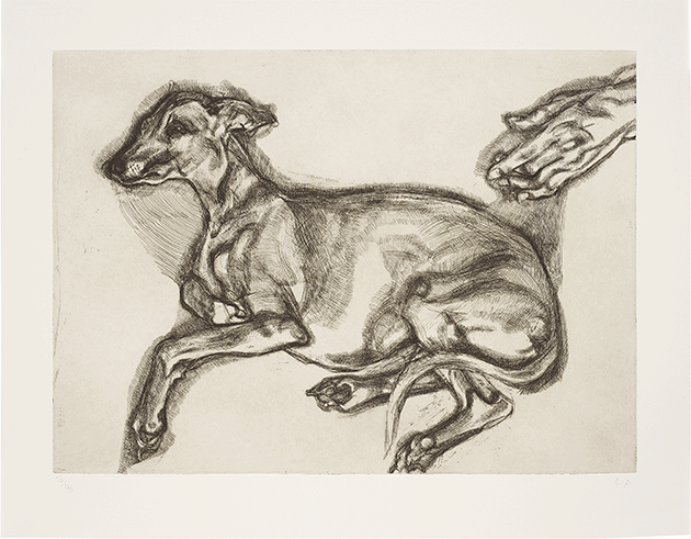 Lucian Freud, Pluto Aged Twelve, 2000 ©The Lucian Freud Archive / Bridgeman Images