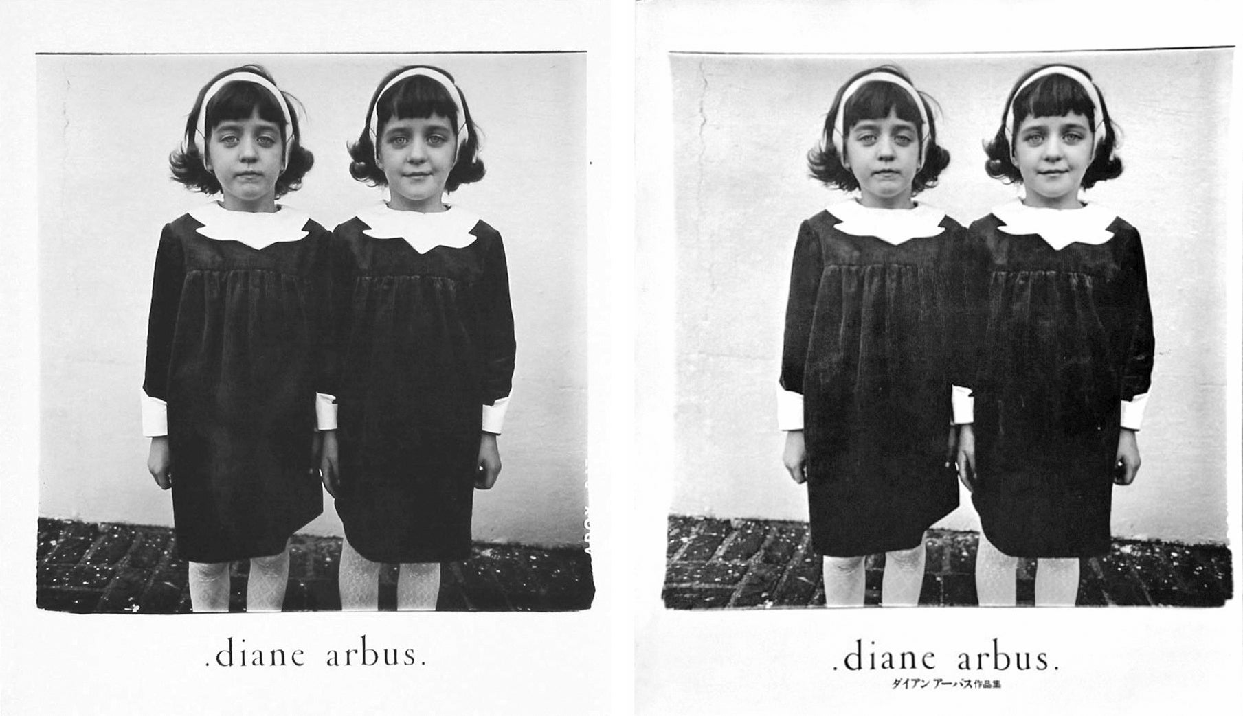 diane arbus 写真集 Diane Arbus. A woman in a bird mask, N.Y.C., 1967. 1967 | MoMA